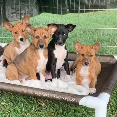 eZy Watermark_10-09-2023_06-47-17-3590PM